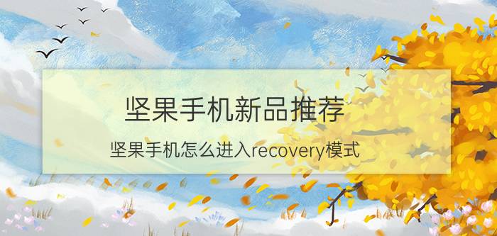 坚果手机新品推荐 坚果手机怎么进入recovery模式？